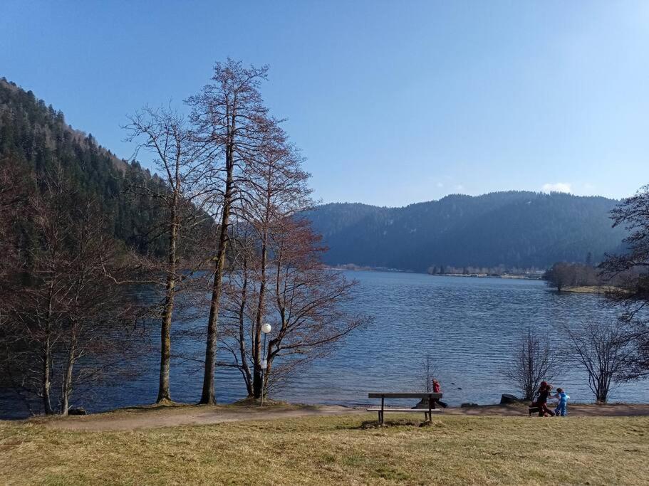 Duplex - Proche De Gerardmer Le Tholy Exterior foto